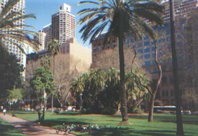aus04.jpg (16514 bytes)