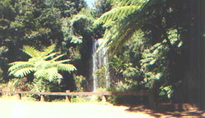 aus23.jpg (15239 bytes)