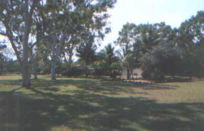 aus33.jpg (12782 bytes)