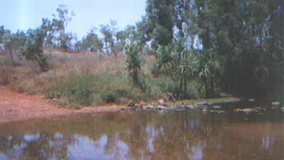 aus34.jpg (9505 bytes)