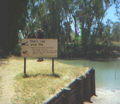aus43.jpg (14296 bytes)