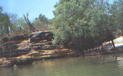 aus44.jpg (11957 bytes)
